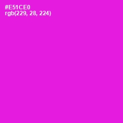 #E51CE0 - Magenta / Fuchsia Color Image