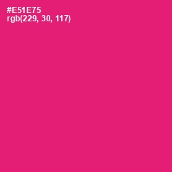#E51E75 - Rose Color Image