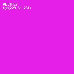 #E51FE7 - Magenta / Fuchsia Color Image