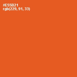 #E55B21 - Flamingo Color Image