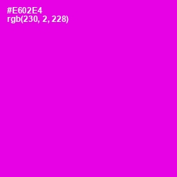 #E602E4 - Magenta / Fuchsia Color Image