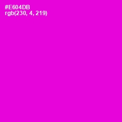 #E604DB - Purple Pizzazz Color Image