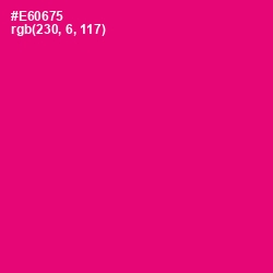 #E60675 - Rose Color Image