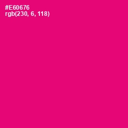 #E60676 - Rose Color Image
