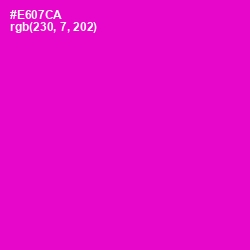 #E607CA - Shocking Pink Color Image