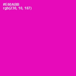 #E60ABB - Hollywood Cerise Color Image