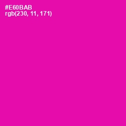 #E60BAB - Hollywood Cerise Color Image