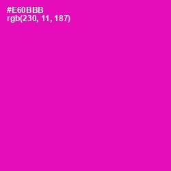 #E60BBB - Hollywood Cerise Color Image
