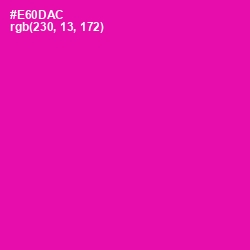 #E60DAC - Hollywood Cerise Color Image