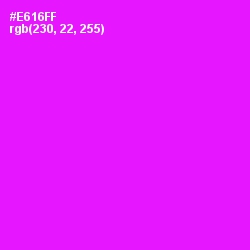 #E616FF - Magenta / Fuchsia Color Image