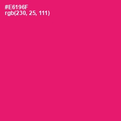 #E6196F - Rose Color Image