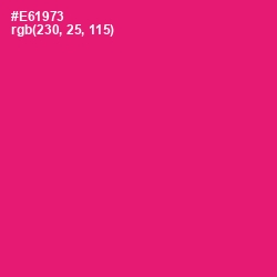 #E61973 - Rose Color Image