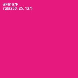 #E6197F - Rose Color Image