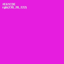 #E61CDE - Shocking Pink Color Image