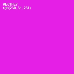 #E61FE7 - Magenta / Fuchsia Color Image