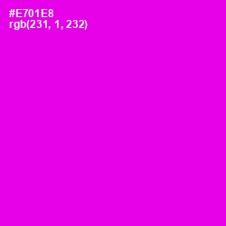 #E701E8 - Magenta / Fuchsia Color Image