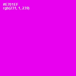 #E701EF - Magenta / Fuchsia Color Image