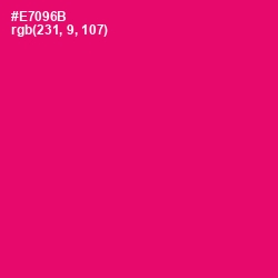 #E7096B - Rose Color Image