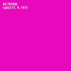 #E709BB - Hollywood Cerise Color Image