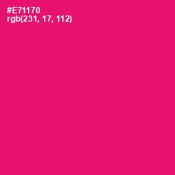 #E71170 - Rose Color Image