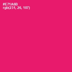 #E71A6B - Rose Color Image