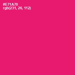 #E71A70 - Rose Color Image