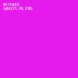 #E71AEE - Magenta / Fuchsia Color Image