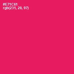 #E71C61 - Rose Color Image