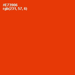 #E73906 - Scarlet Color Image