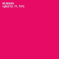 #E80B65 - Rose Color Image