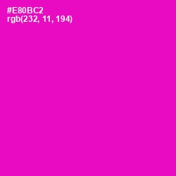 #E80BC2 - Shocking Pink Color Image
