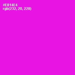 #E814E4 - Magenta / Fuchsia Color Image