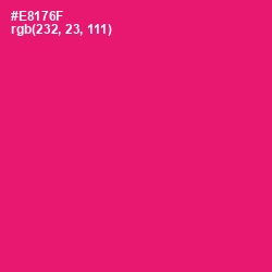 #E8176F - Rose Color Image