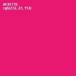 #E81770 - Rose Color Image