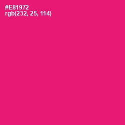 #E81972 - Rose Color Image