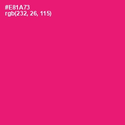 #E81A73 - Rose Color Image