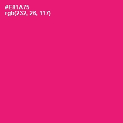 #E81A75 - Rose Color Image