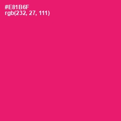 #E81B6F - Rose Color Image