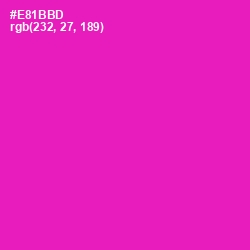 #E81BBD - Hollywood Cerise Color Image