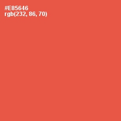 #E85646 - Sunset Orange Color Image