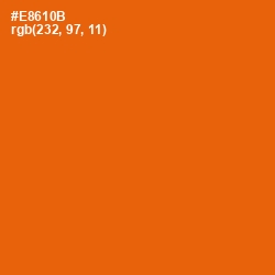 #E8610B - Clementine Color Image