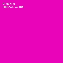 #E903B9 - Hollywood Cerise Color Image