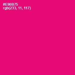 #E90B75 - Rose Color Image
