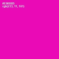 #E90BB5 - Hollywood Cerise Color Image
