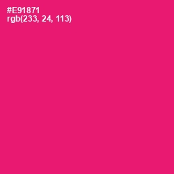 #E91871 - Rose Color Image