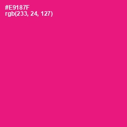 #E9187F - Rose Color Image