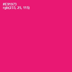 #E91973 - Rose Color Image