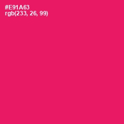 #E91A63 - Rose Color Image