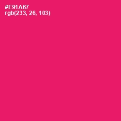 #E91A67 - Rose Color Image