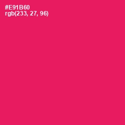 #E91B60 - Rose Color Image